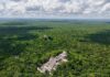 México impulsa el Corredor Biocultural Gran Selva Maya con avances trinacionales en 2026 Selva Maya en Calakmul, Campeche, parte del Corredor Biocultural Gran Selva Maya que México impulsa junto con Guatemala y Belice en 2026
