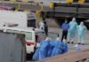 Tenerife activa emergencia sanitaria por crucero con mortal brote de hantavirus Personal sanitario con equipo de protección traslada en camilla a pasajero contagiado del crucero MV Hondius hacia una ambulancia. Operación de evacuación controlada del brote de hantavirus