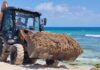 Playa del Carmen intensifica limpieza ante recale de sargazo que afecta el 100% de sus playas Maquinaria recolectando sargazo en una playa de Playa del Carmen, como parte de las labores intensivas de limpieza realizadas por el municipio.