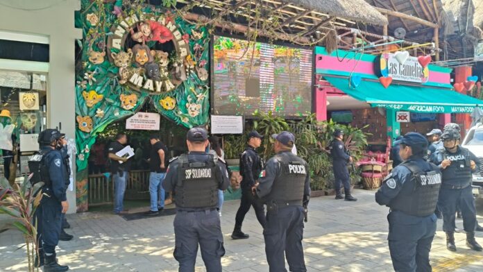 Operativo contra explotación de fauna silvestre en la zona turística de Playa del Carmen.
