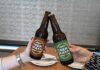 Tren Maya lanza su propia cerveza artesanal para enriquecer la experiencia a bordo Tren Maya lanza su cerveza artesanal en colaboración con Cerveza Ceiba. La bebida se servirá a bordo en el vagón restaurante Janal.