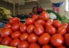 La tormenta perfecta: jitomate llegará hasta 80 pesos por kilo y se mantendrá caro hasta el verano Jitomate en mercado mexicano con precios elevados 2026
