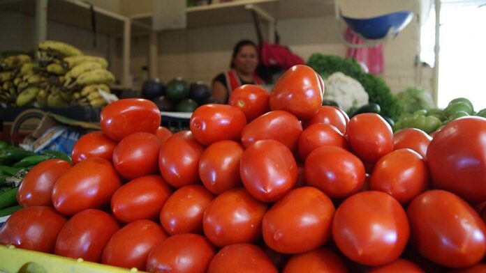 Jitomate en mercado mexicano con precios elevados 2026