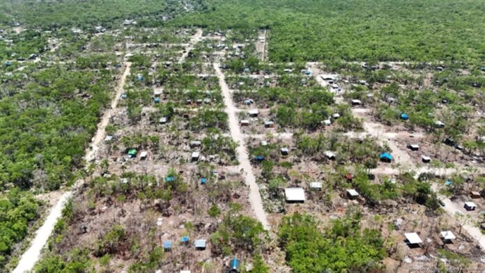 Polígono de 29 hectáreas en San Judas Tadeo, Playa del Carmen, donde avanza el proyecto de donación de tierras del Ejido al Ayuntamiento para regularización en mayo de 2026.
