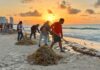 Cancún mantiene a raya el sargazo con más de 16 mil toneladas retiradas Retiran sargazo en playa pública de Cancún como parte del operativo permanente para mantener limpios los arenales.