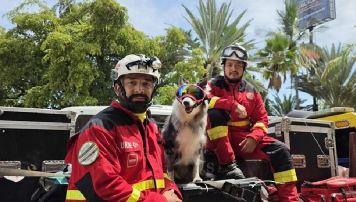 Integrantes de la Brigada de Rescate Internacional Cancún y su binomio canino durante su misión de búsqueda y rescate en La Guaira, Venezuela.