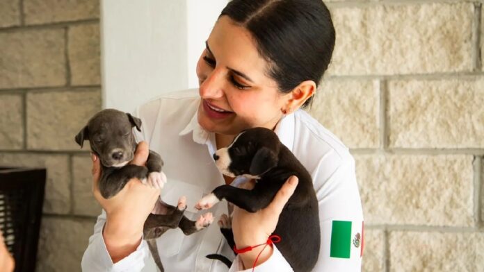 Estefanía Mercado sostiene dos cachorros rescatados durante una actividad enfocada en la protección animal y la promoción de la adopción responsable en Playa del Carmen.