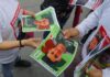 El álbum que miles de familias mexicanas no quieren completar y desenmascara la crisis nacional Estampa estilo álbum mundialista con fotografía de una persona desaparecida y mensaje del colectivo Luz de Esperanza en Guadalajara.