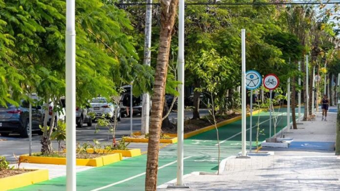 Cajones de estacionamiento retirados en la avenida 10 de Playa del Carmen debido a la construcción de una nueva ciclovía.