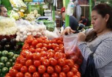 Jitomate casi duplica su precio y encarece la canasta básica Persona compra jitomates y otros productos básicos en un mercado mexicano, mientras el aumento de precios impacta el costo de la canasta alimentaria.