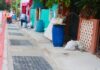 Isla Mujeres refuerza infraestructura pluvial para prevenir encharcamientos Trabajadores rehabilitan rejillas y captadores pluviales en una vialidad de Isla Mujeres para mejorar el desalojo del agua durante la temporada de lluvias.