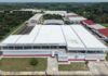 México y Estados Unidos inauguran planta para combatir el gusano barrenador La planta de producción de moscas estériles inaugurada en Metapa de Domínguez, Chiapas, reforzará la estrategia conjunta de México y Estados Unidos para erradicar el gusano barrenador del ganado.