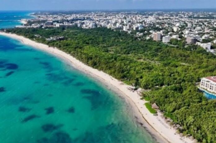 Vista aérea de una playa con vegetación costera y zona urbana al fondo en Playa del Carmen.