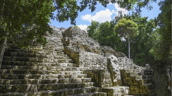 Zona arqueológica de Calakmul rodeada por la selva de Campeche, sitio reconocido por la Unesco como Patrimonio Mundial mixto.