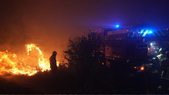 Bomberos combaten un incendio forestal durante la noche junto a un camión de emergencia mientras las llamas consumen vegetación.