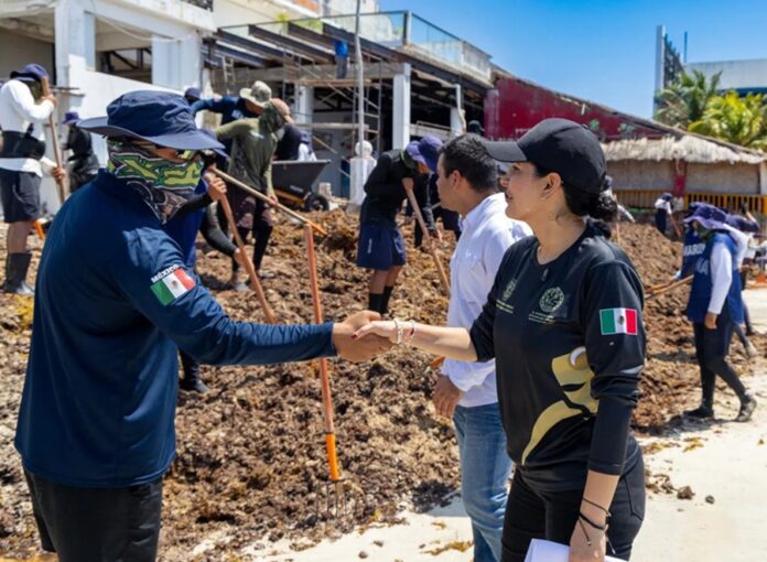 La presidenta municipal Estefanía Mercado supervisa las labores de limpieza y retiro de sargazo junto a personal de la Secretaría de Marina.
