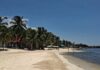 Playas de Playa del Carmen lucen prácticamente libres de sargazo en temporada vacacional Playa del Carmen sargazo