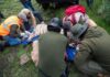 Profepa clausura parque tras muerte del tigre Kenzo durante operativo Veterinarios y especialistas atienden al tigre de Bengala Kenzo tras su captura durante el operativo realizado en Tepetlaoxtoc.
