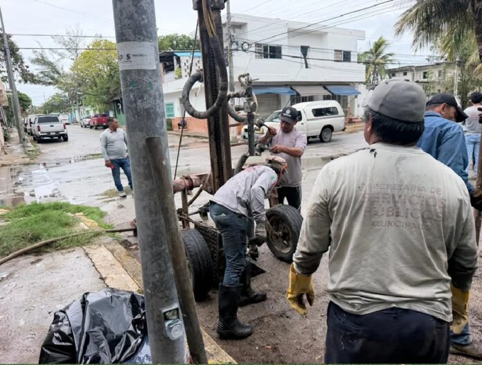 Trabajadores realizan labores de mantenimiento urbano en Playa del Carmen.
