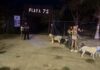 Gobierno de Playa del Carmen frena intento de cerrar acceso público a Playa 72 Acceso a Playa 72 en Playa del Carmen durante un operativo municipal para impedir la obstrucción del paso público hacia la playa.