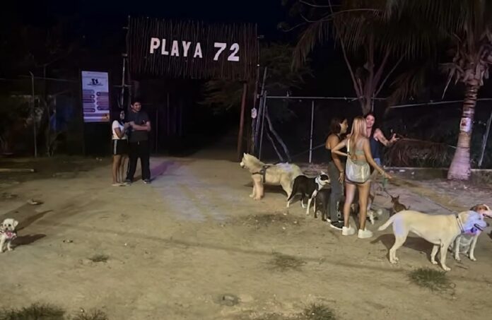 Acceso a Playa 72 en Playa del Carmen durante un operativo municipal para impedir la obstrucción del paso público hacia la playa.