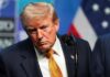 Trump elimina una protección ambiental vigente desde hace 50 años para especies en peligro de extinción Donald Trump durante un evento público