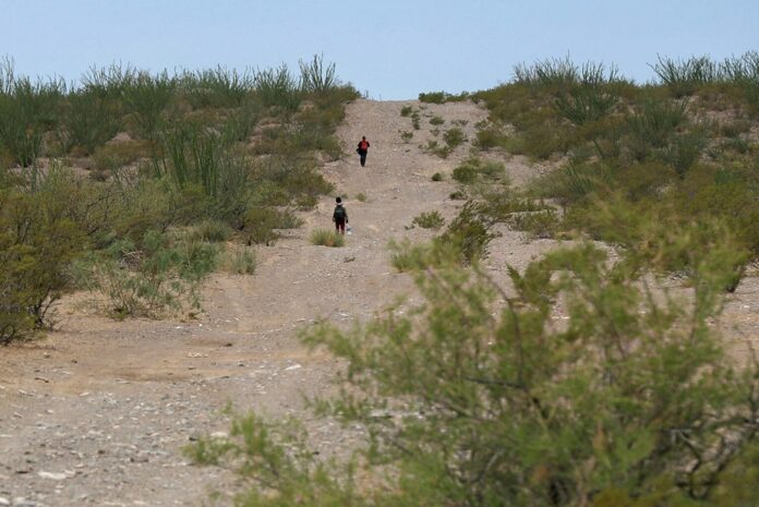 Sendero desértico en Big Bend