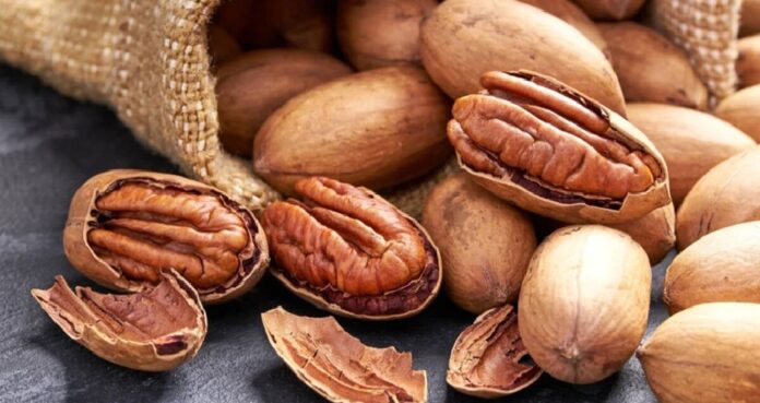 Nueces pecanas mexicanas