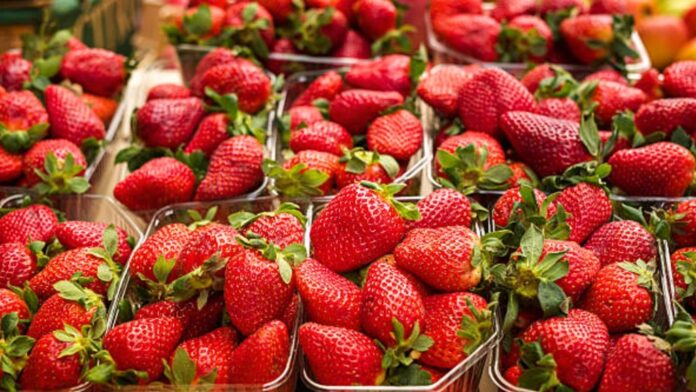 Fresas mexicanas dumping