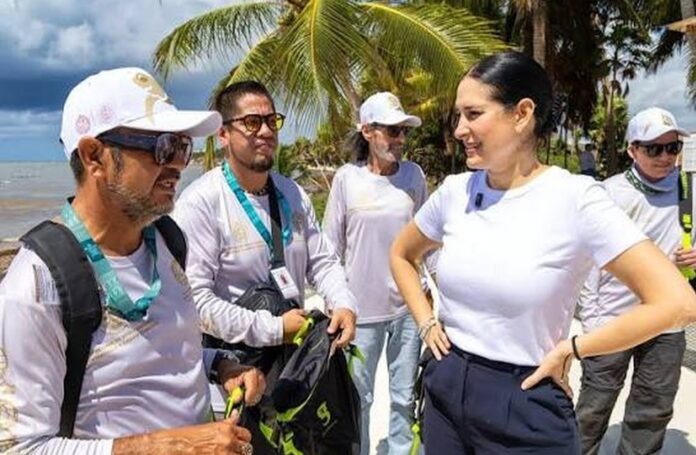 Estefanía mercado Tortugas marinas