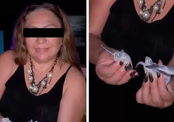 tortuga marina Cancún manipulada