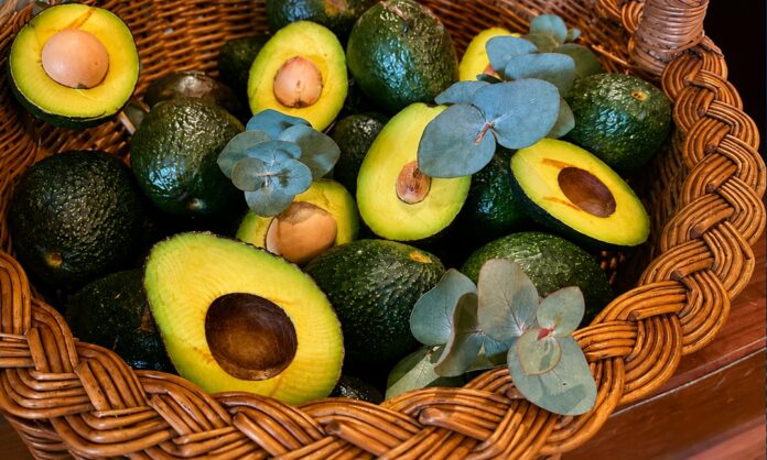 exportación aguacates Estados Unidos
