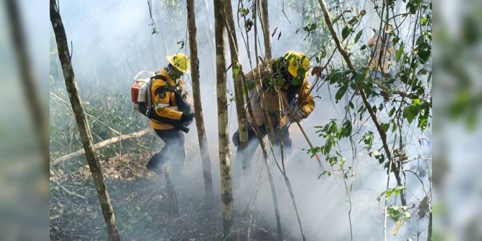 Estefanía Mercado refuerza el combate al incendio forestal
