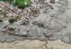 Colapso glaciar en la frontera de Nepal y China deja 362 muertos y más de mil 400 desaparecidos inundaciones Nepal china
