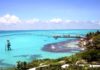 Estefanía Mercado supervisa playas de Playa del Carmen y destaca contención del sargazo Estefanía Mercado supervisa barreras anti sargazo