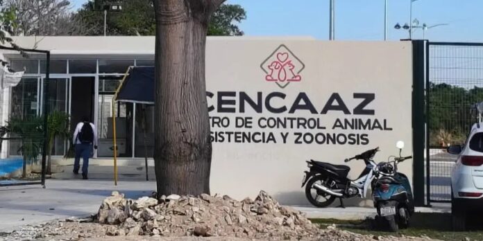 Instalaciones del CENCAAZ en Playa del Carmen para atención y protección de animales.