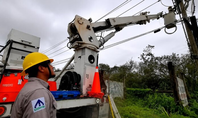 Personal de la CFE realiza trabajos en la infraestructura eléctrica como parte del fortalecimiento del suministro de energía en Quintana Roo.
