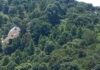 Helicóptero en el que viajaba gobernador de Chiapas realiza maniobra de emergencia por aves Helicóptero Eduardo Ramírez gobernador