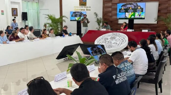 Representantes del gobierno municipal, especialistas ambientales y organizaciones civiles participan en la instalación del Comité de Arbolado de Playa del Carmen durante una sesión de trabajo.