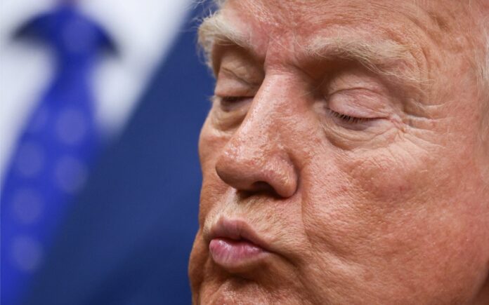 Donald Trump Monedas