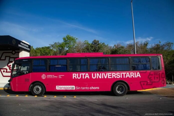 Autobús universitario Playa del Carmen