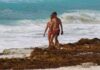 Cancún será sede de conferencia UE-Caribe que busca llevar el sargazo de proyectos piloto al mercado regional Conferencia sobre sargazo