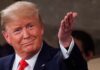 Trump cuestiona el comercio con México y reduce sus exportaciones a “tamales picantes y tomates” Donald Trump en Casa Blanca