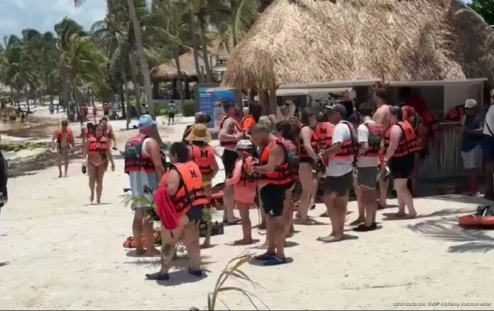 Tortugas marinas Akumal