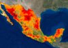 Quintana Roo registra nuevas muertes por golpe de calor y suma siete fallecimientos en 2026 temperaturas extremas Quintana Roo
