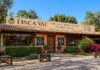 Queso, vino y campo: un recorrido por los sabores de Querétaro Finca VAI Querétaro