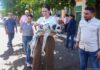 Estefanía Mercado encabeza rescate de ocho perros en condiciones insalubres en Playa del Carmen Estefanía Mercado rescata perros