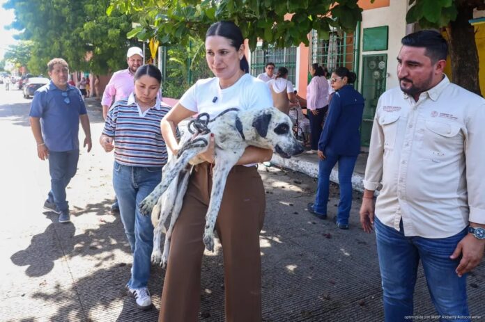 Estefanía Mercado rescata perros