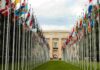 ONU libera 160 millones de dólares para atender crisis humanitarias ONU ayuda humanitaria