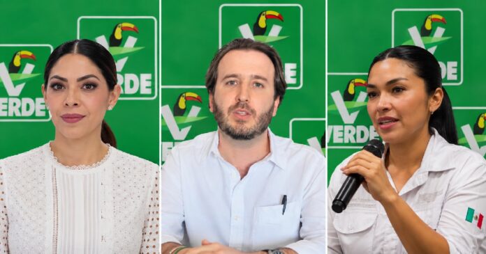 Perfiles Partido Verde